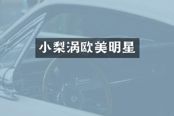 小梨涡欧美明星