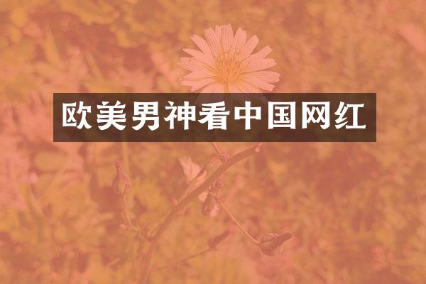 欧美男神看中国网红