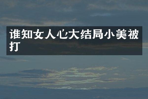 谁知女人心大结局小美被打