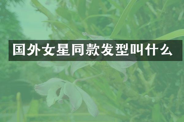 国外女星同款发型叫什么