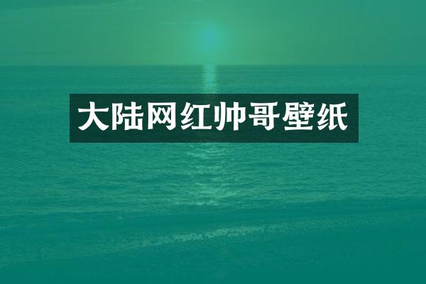 大陆网红帅哥壁纸