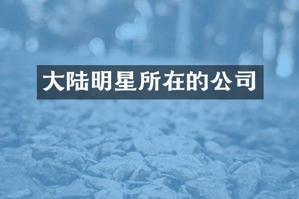 大陆明星所在的公司