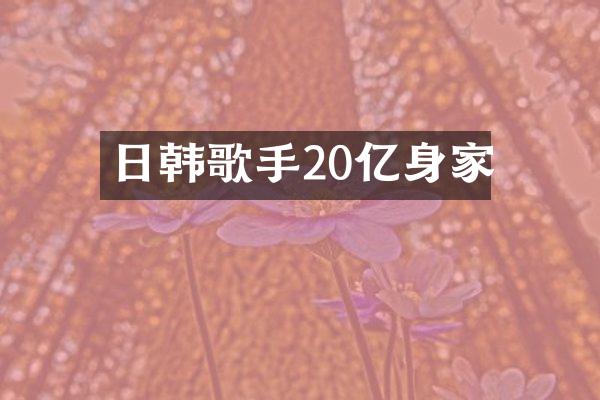 日韩歌手20亿身家