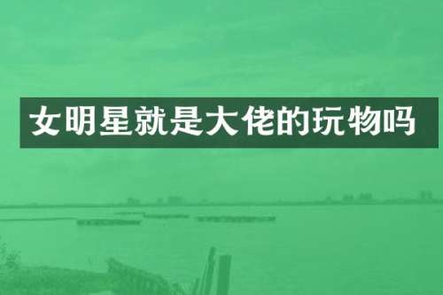 女明星就是大佬的玩物吗