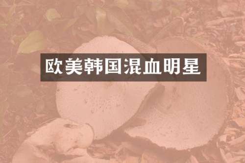 欧美韩国混血明星
