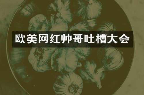 欧美网红帅哥吐槽大会