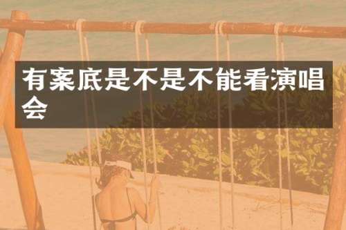 有案底是不是不能看演唱会