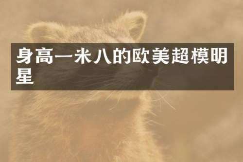 身高一米八的欧美超模明星