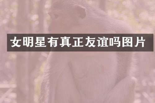 女明星有真正友谊吗图片