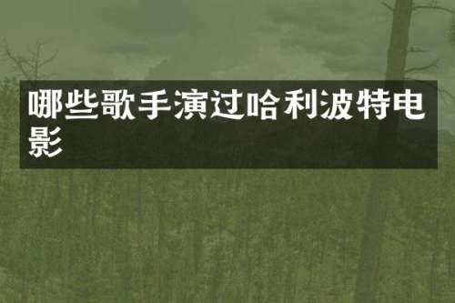 哪些歌手演过哈利波特电影