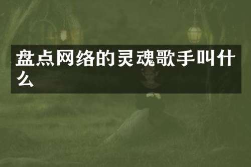 盘点网络的灵魂歌手叫什么