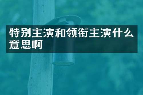 特别主演和领衔主演什么意思啊