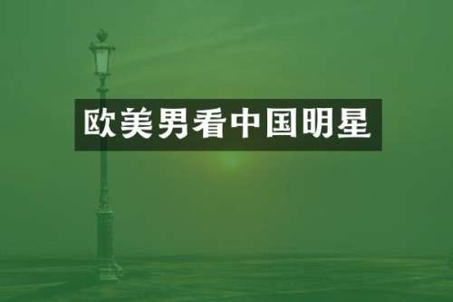 欧美男看中国明星