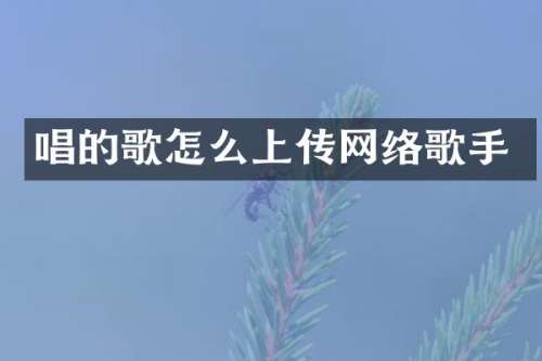 唱的歌怎么上传网络歌手
