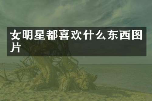 女明星都喜欢什么东西图片