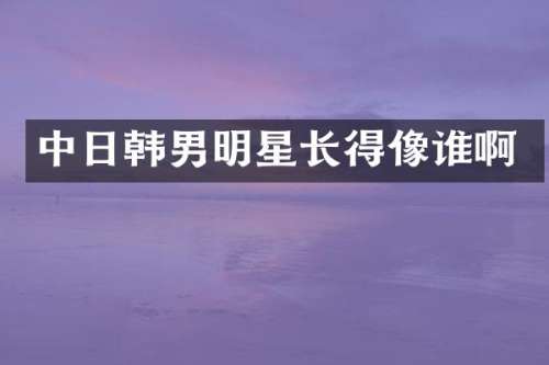 中日韩男明星长得像谁啊
