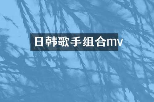 日韩歌手组合mv