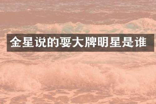 金星说的耍大牌明星是谁