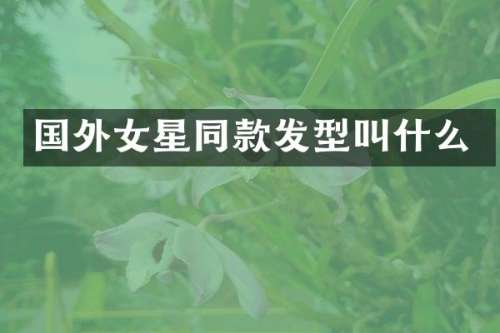 国外女星同款发型叫什么