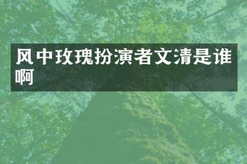 风中玫瑰扮演者文清是谁啊