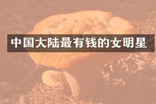 中国大陆最有钱的女明星