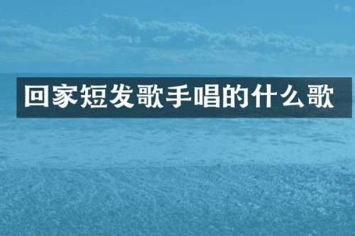 回家短发歌手唱的什么歌