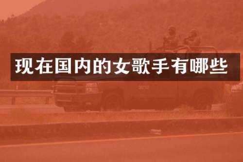 现在国内的女歌手有哪些
