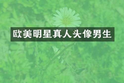 欧美明星真人头像男生