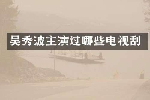 吴秀波主演过哪些电视刮