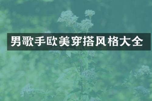 男歌手欧美穿搭风格大全