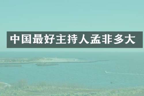 中国最好主持人孟非多大