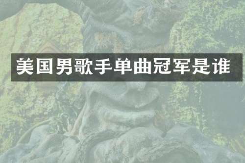 美国男歌手单曲冠军是谁