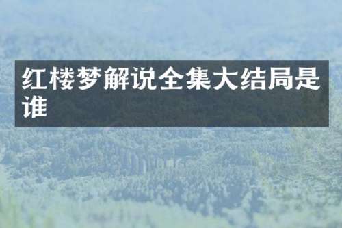 红楼梦解说全集大结局是谁