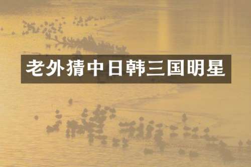 老外猜中日韩三国明星
