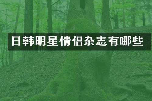 日韩明星情侣杂志有哪些