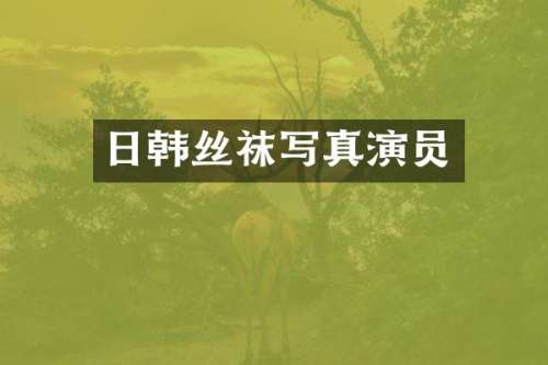 日韩丝袜写真演员