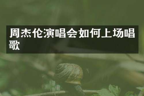 周杰伦演唱会如何上场唱歌