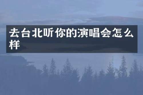 去台北听你的演唱会怎么样
