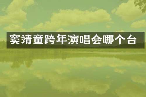 窦靖童跨年演唱会哪个台
