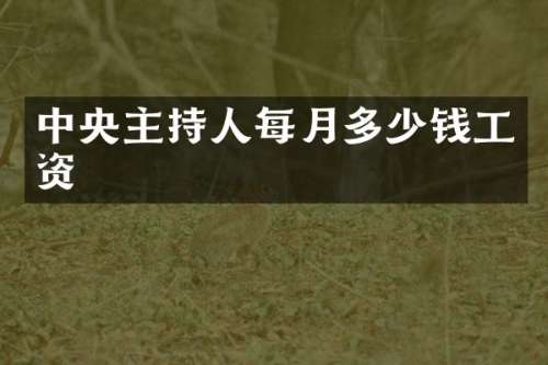 中央主持人每月多少钱工资
