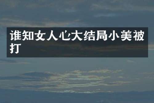 谁知女人心大结局小美被打