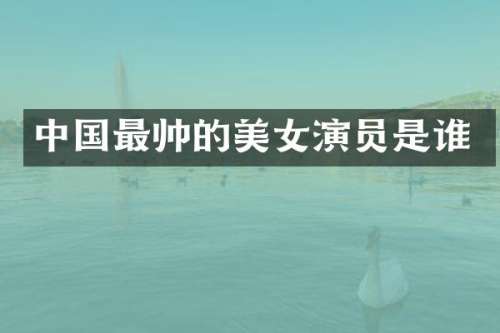 中国最帅的演员是谁