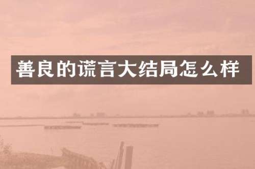 善良的谎言大结局怎么样