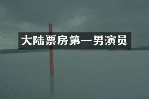 大陆票房第一男演员