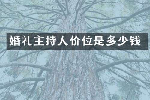 婚礼主持人价位是多少钱