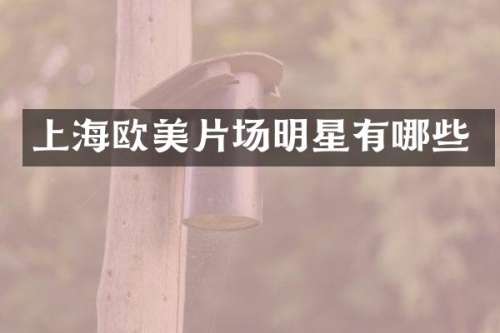 上海欧美片场明星有哪些