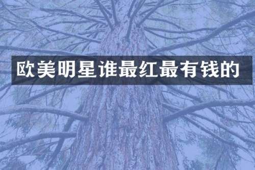 欧美明星谁最红最有钱的