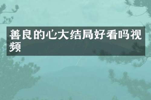 善良的心大结局好看吗视频