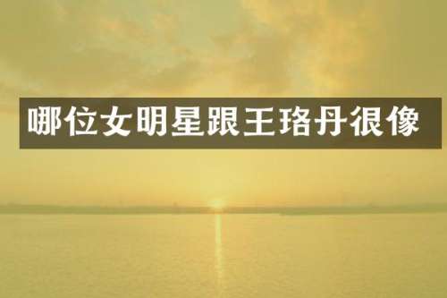 哪位女明星跟王珞丹很像