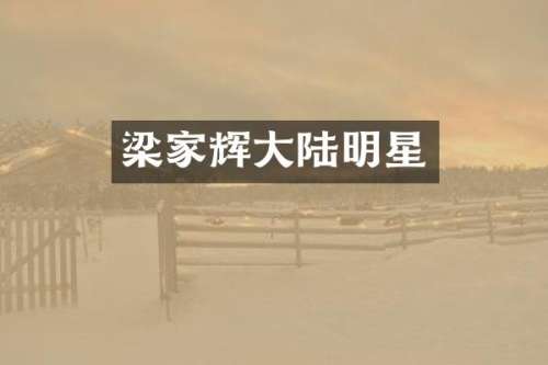 梁家辉大陆明星